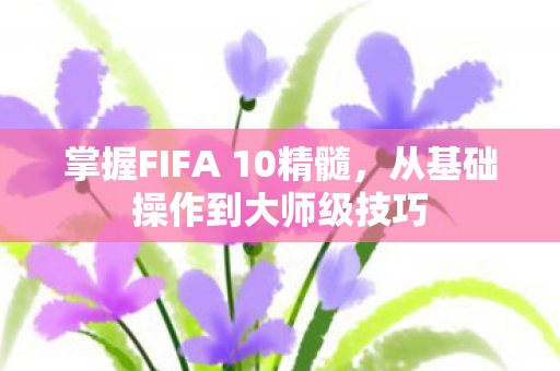 掌握FIFA 10精髓图片