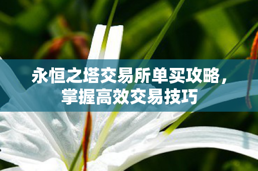 永恒之塔交易所单买攻略图片