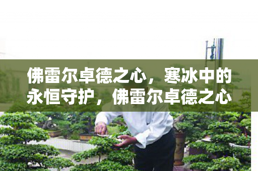 佛雷尔卓德之心,寒冰中的永恒守护,佛雷尔卓德之心,寒冰中的永恒守护 佛雷尔卓德之心,寒冰中的永恒守护,佛雷尔卓德之心,寒冰中的永恒守护