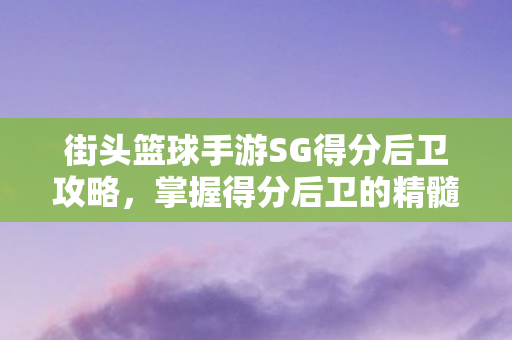 街头篮球手游SG得分后卫攻略图片