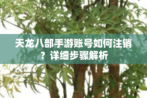 天龙八部手游账号如何注销图片