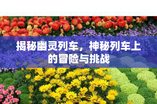 神秘列车上的冒险与挑战图片