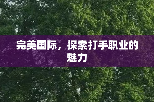 探索打手职业的魅力图片