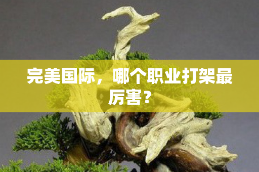 哪个职业打架最厉害图片