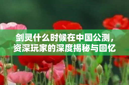 资深玩家的深度揭秘与回忆图片