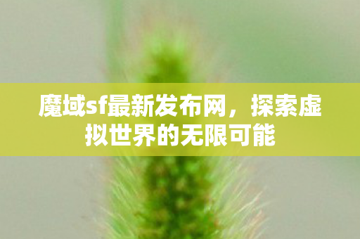 探索虚拟世界的无限可能图片