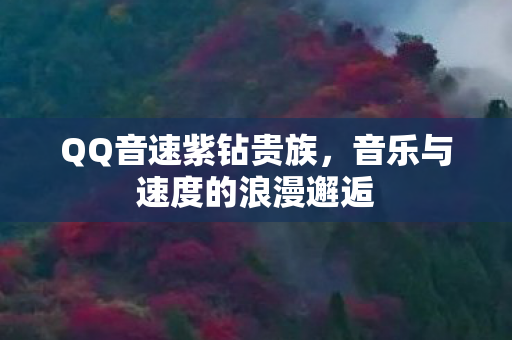 音乐与速度的浪漫邂逅图片