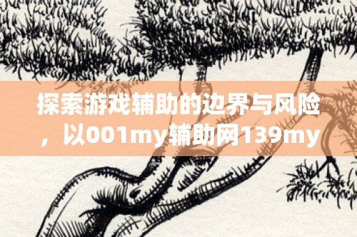 以001my辅助网139my魔域为例图片