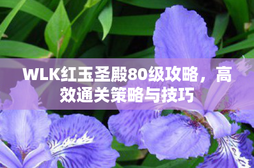 WLK红玉圣殿80级攻略图片