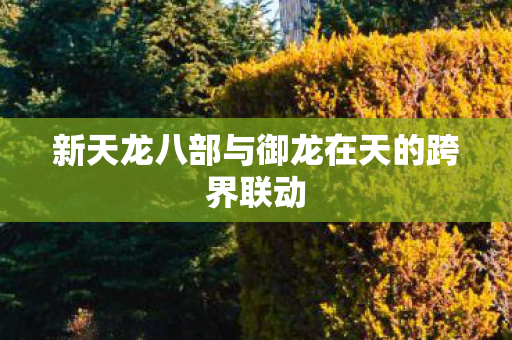 新天龙八部与御龙在天的跨界联动图片