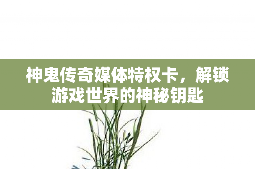解锁游戏世界的神秘钥匙图片