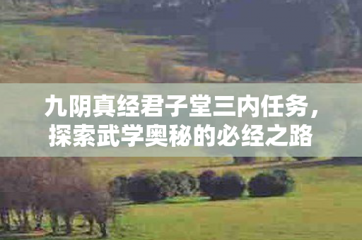九阴真经君子堂三内任务图片