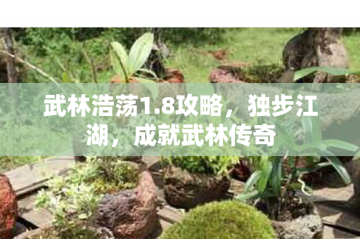 成就武林传奇图片