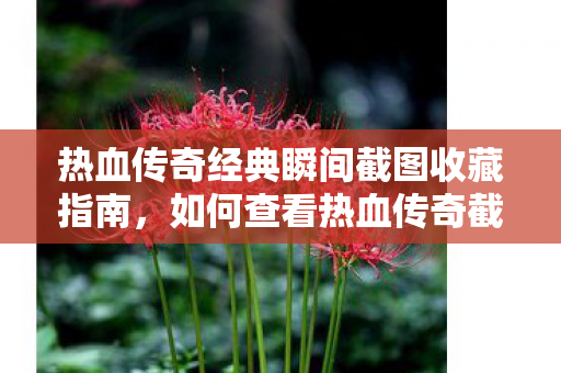 热血传奇经典瞬间截图收藏指南图片