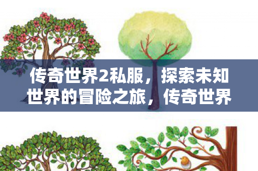 开启探索未知世界的冒险之旅图片
