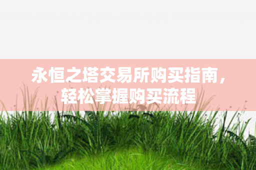 永恒之塔交易所购买指南图片