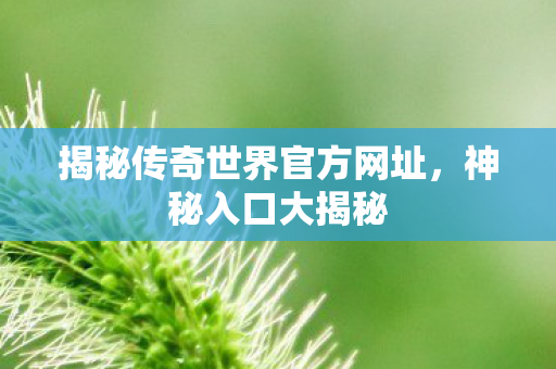 揭秘传奇世界官方网址图片