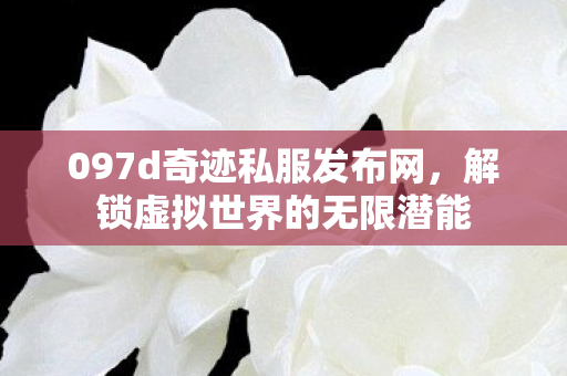 097d奇迹私服发布网图片