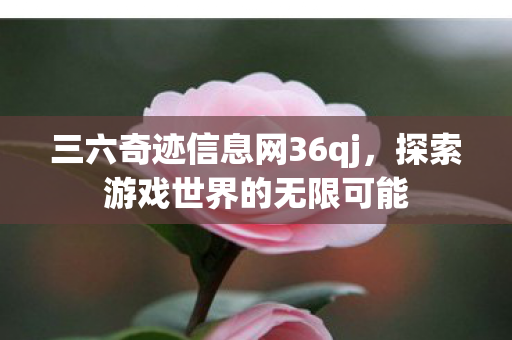 三六奇迹信息网36qj图片