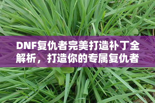 DNF复仇者完美打造补丁全解析图片