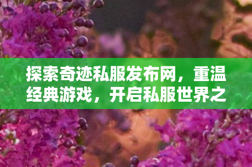 探索奇迹私服发布网图片