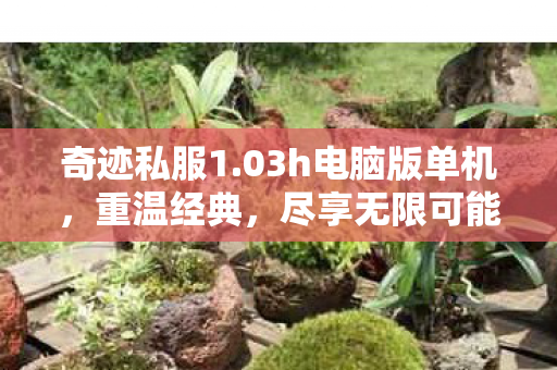 03h电脑版单机图片