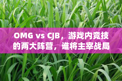 OMG vs CJB图片