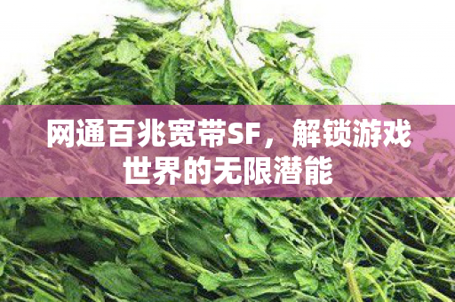 解锁游戏世界的无限潜能图片