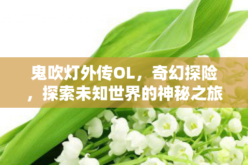 探索未知世界的神秘之旅图片