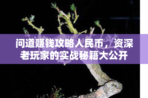 资深老玩家的实战秘籍大公开图片