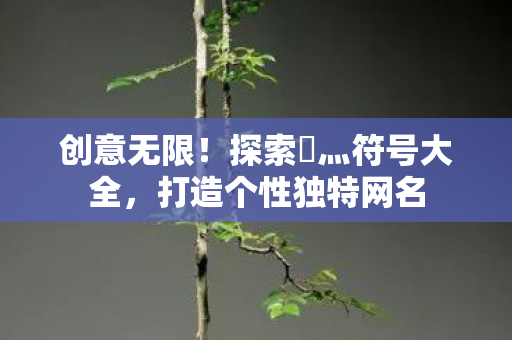 探索乄灬符号大全图片