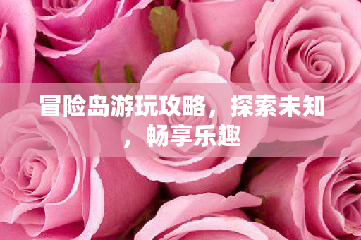 冒险岛游玩攻略图片
