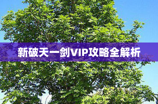 新破天一剑VIP攻略全解析图片