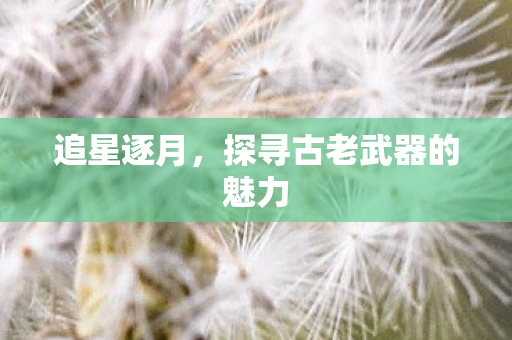 探寻古老武器的魅力图片