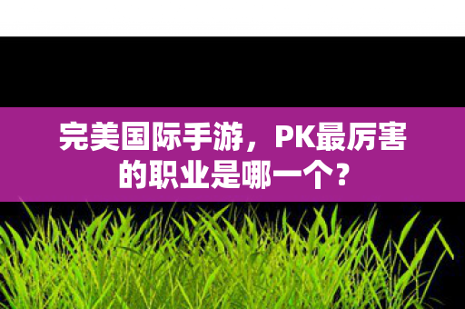 PK最厉害的职业是哪一个图片