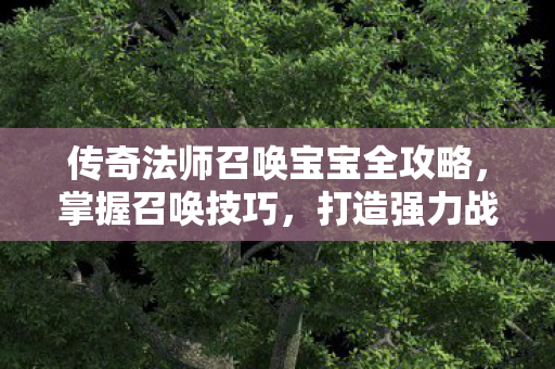 传奇法师召唤宝宝全攻略图片