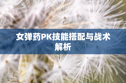 女弹药PK技能搭配与战术解析图片