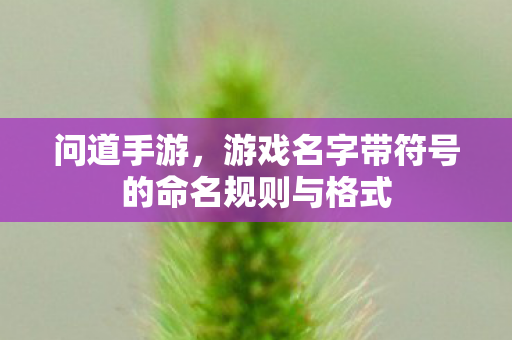 游戏名字带符号的命名规则与格式图片