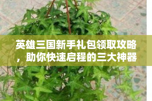 英雄三国新手礼包领取攻略图片