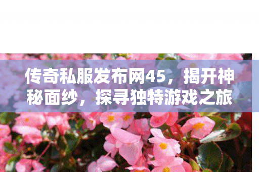 传奇私服发布网45图片