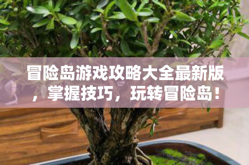 冒险岛游戏攻略大全最新版图片
