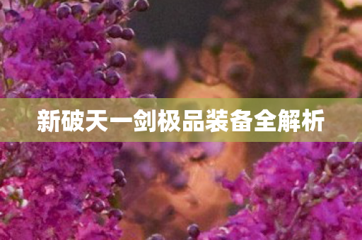 新破天一剑极品装备全解析图片