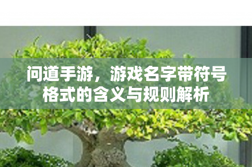 游戏名字带符号格式的含义与规则解析图片