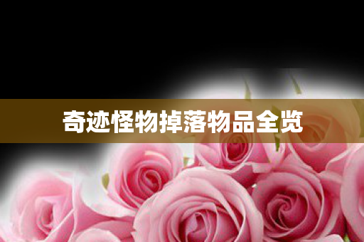 奇迹怪物掉落物品全览图片