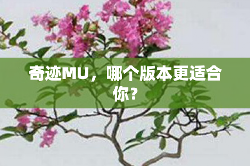哪个版本更适合你图片