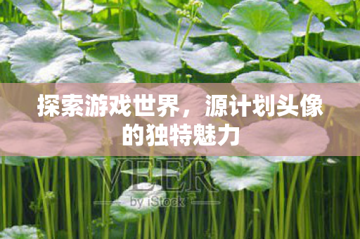 源计划头像的独特魅力图片