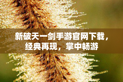 新破天一剑手游官网下载图片