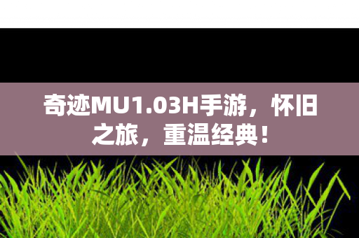 奇迹MU1图片