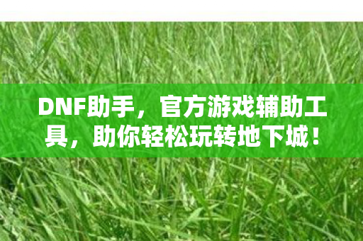 助你轻松玩转地下城图片
