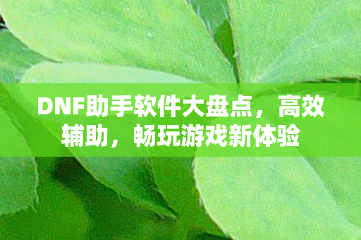 DNF助手软件大盘点，高效辅助，畅玩游戏新体验